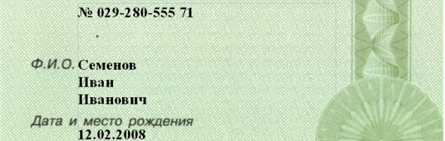 Теперь СНИЛС в Крыму можно получить в режиме реального времени